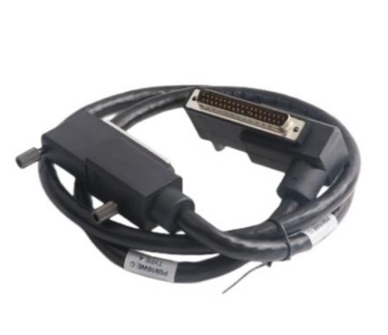 FOXBORO P0931RM Term Cable